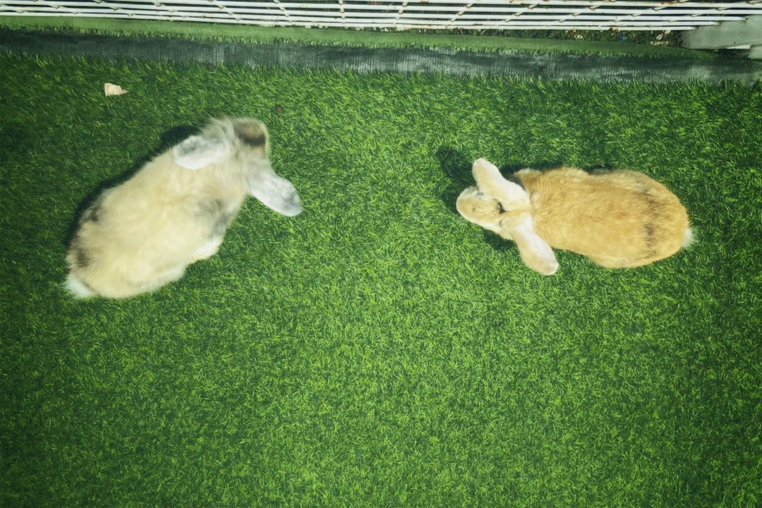 HTTP 101 - Switching Protocols