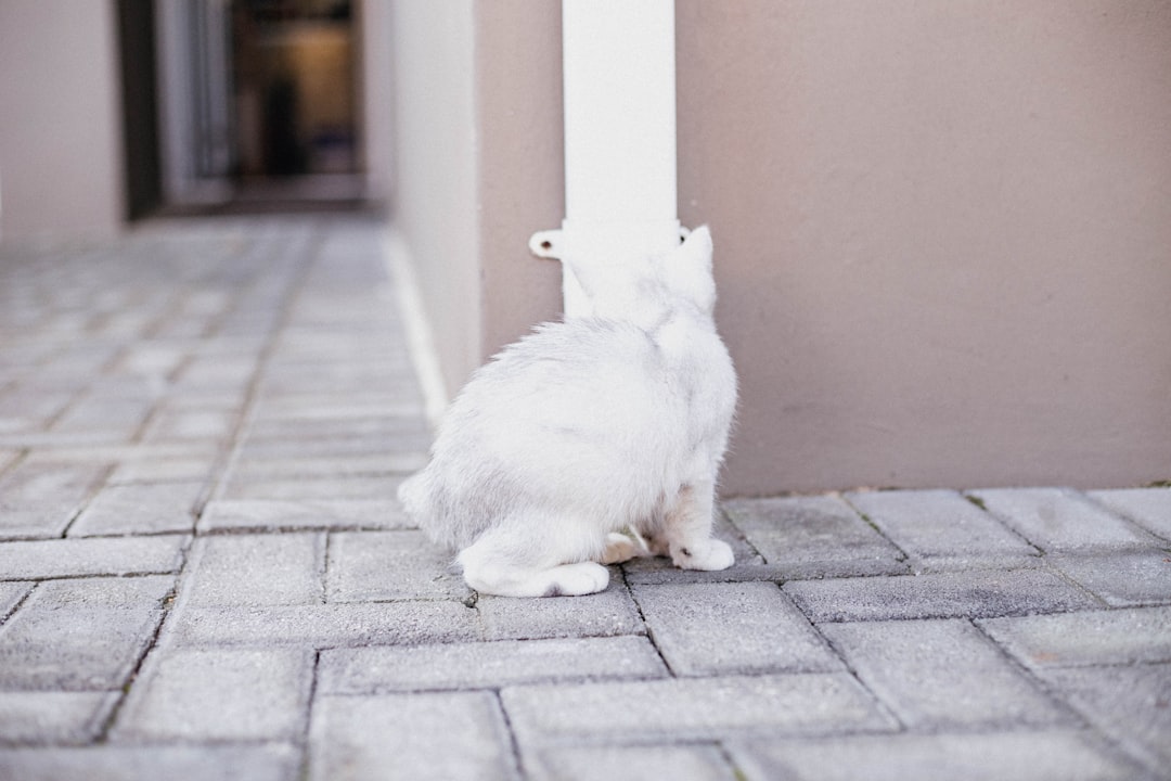 HTTP 306 - Switch Proxy