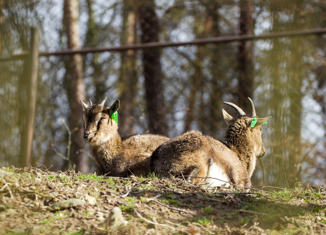 HTTP 416 - Range Not Satisfiable